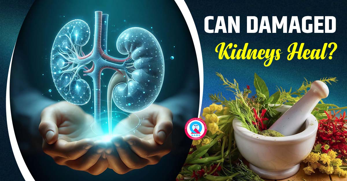 can-damaged-kidneys-heal